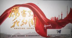 為黨喝彩，為國點贊——公司黨委組織黨員群眾觀看《厲害了，我的國》